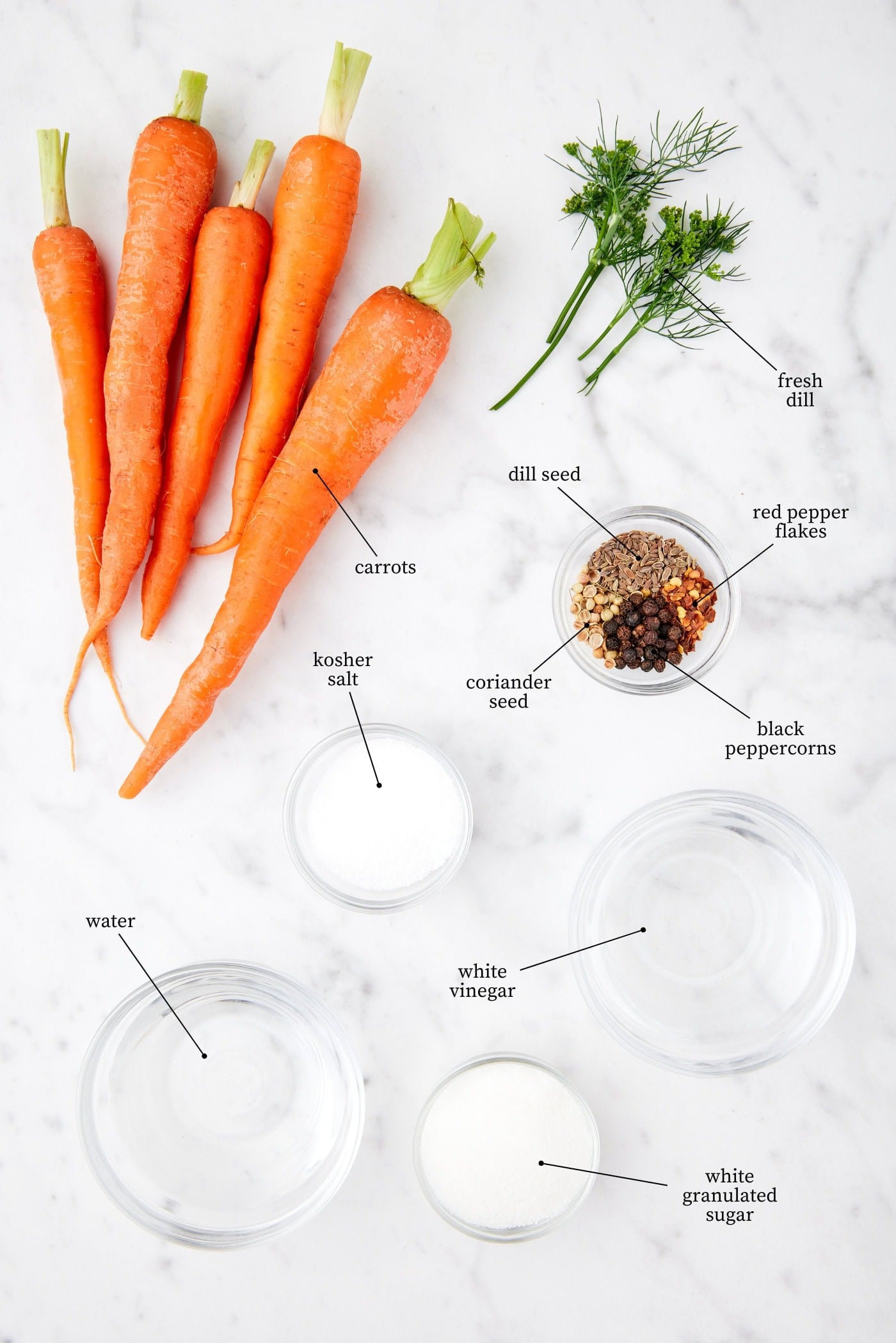 White marble surface filled with carrots, vinegar, water, sugar, salt, and spices.