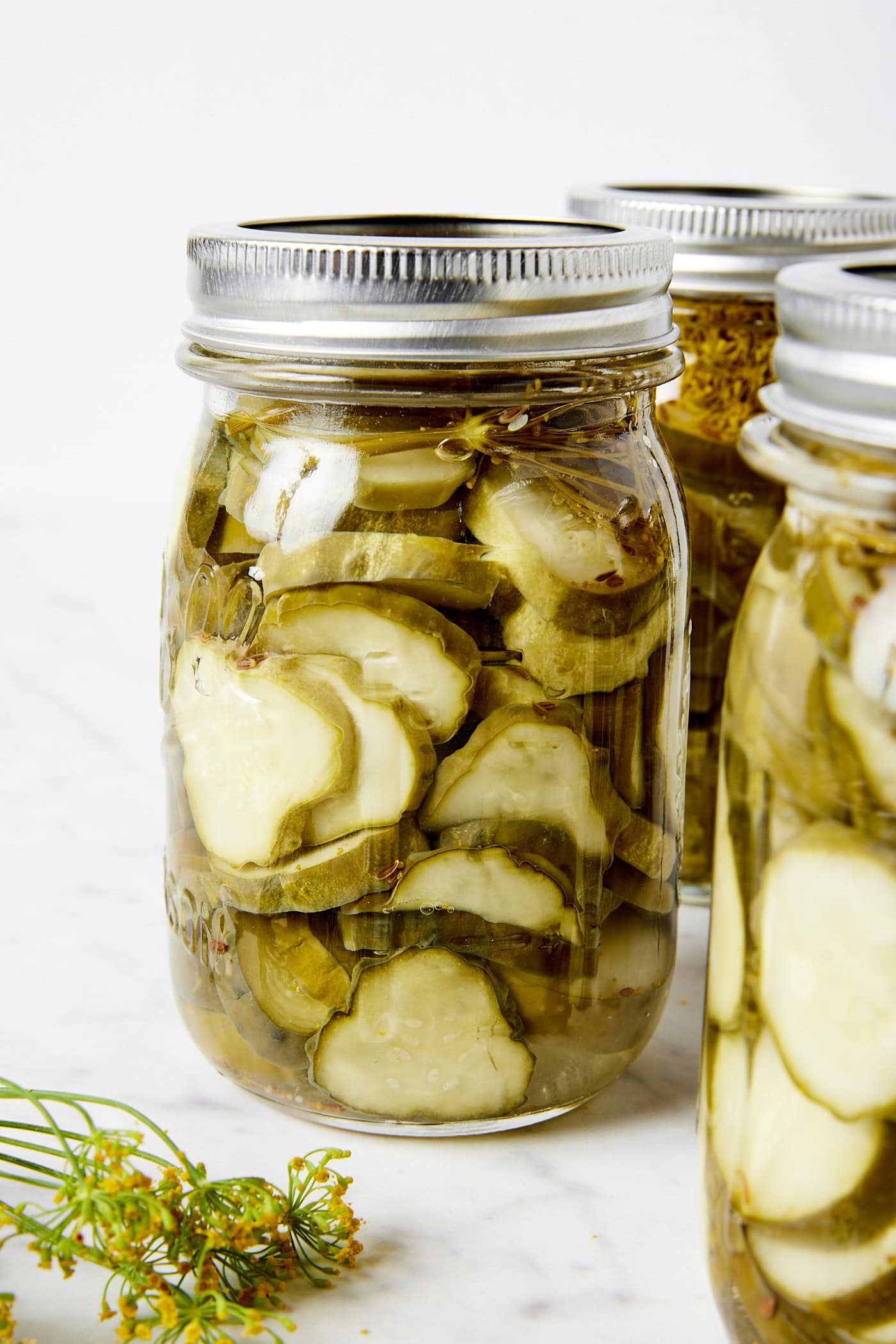 Jar filled with slices of dill pickles with fresh dill weed to the side.