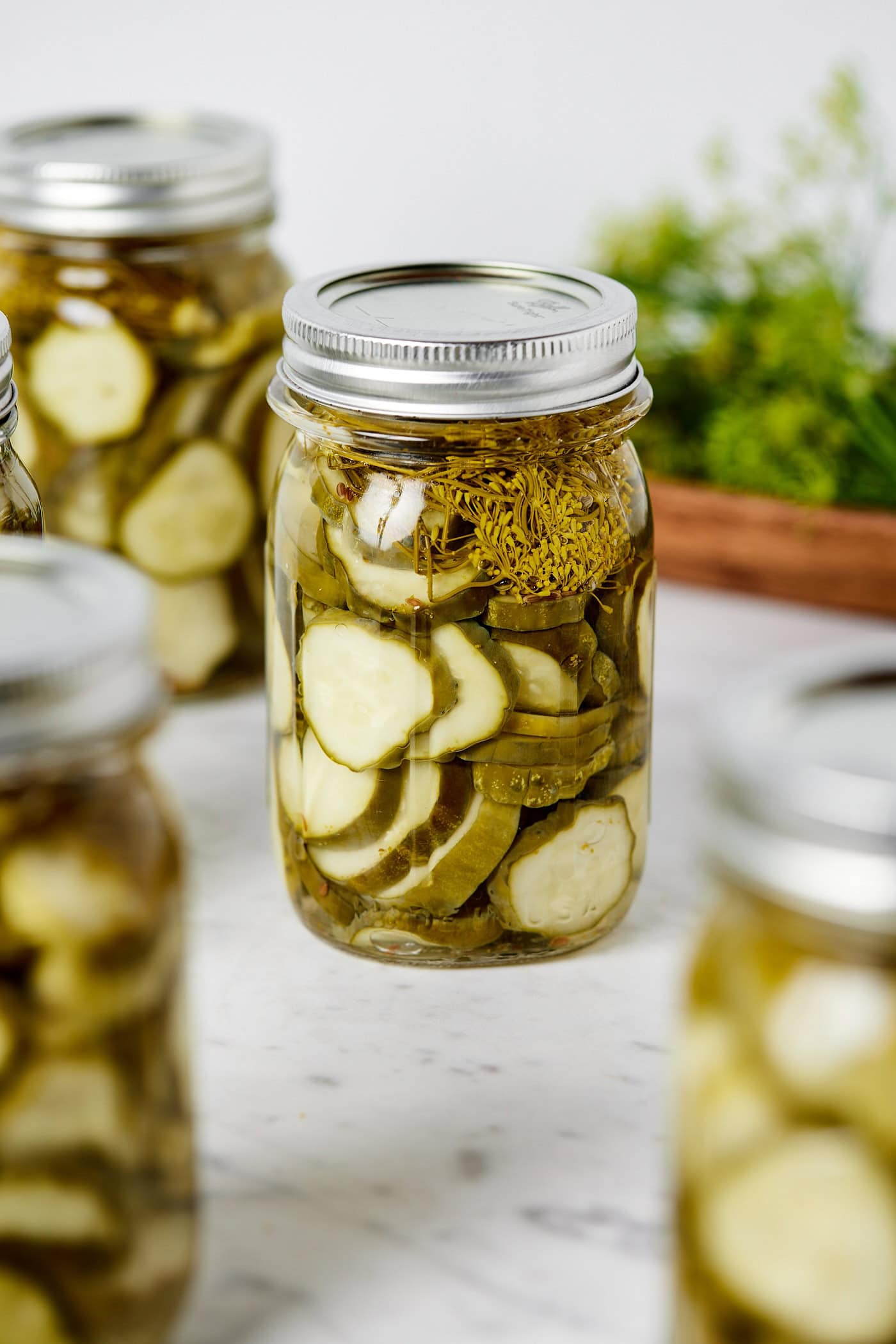 Canned dill pickles sitting on marble surface with fresh dill in background.
