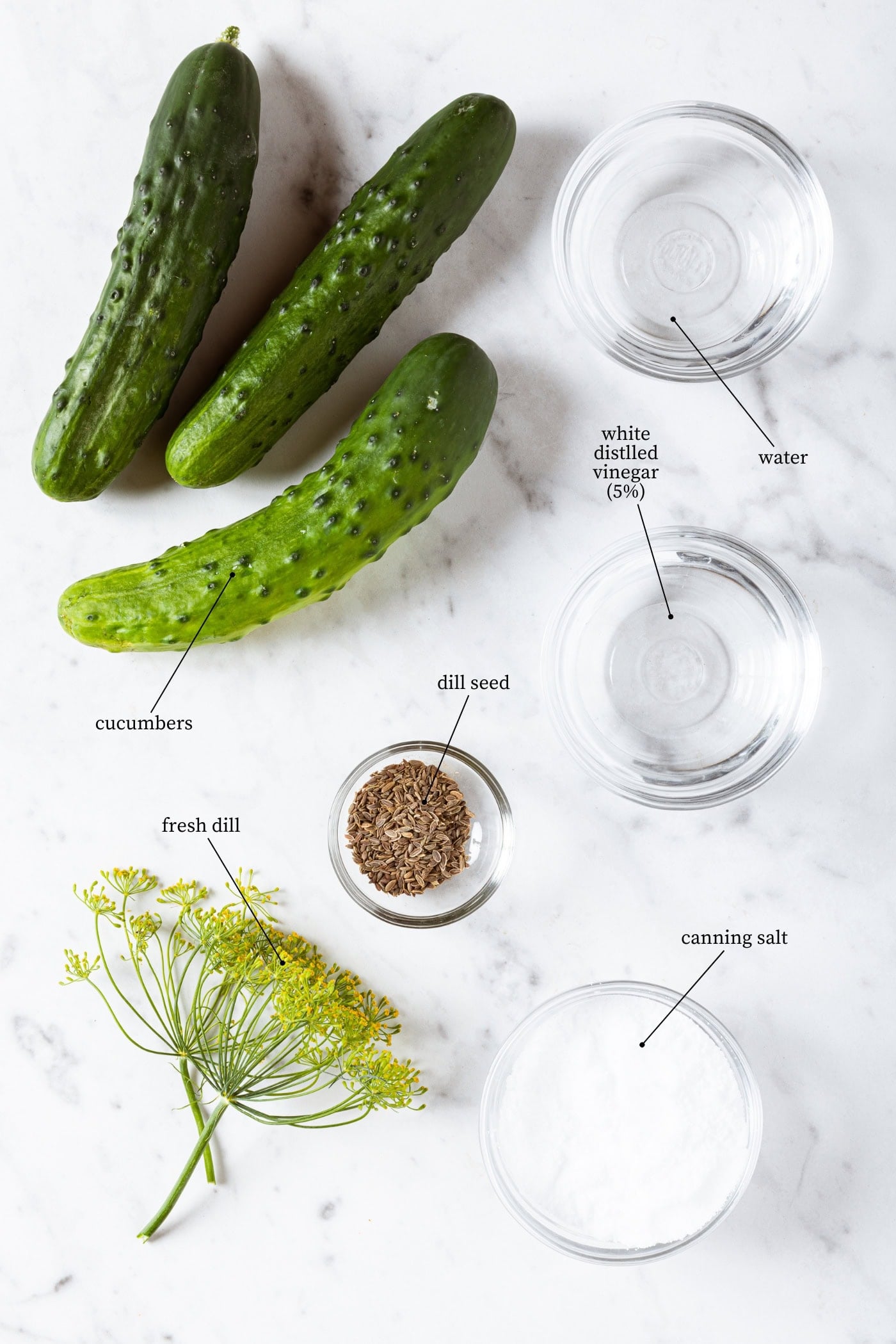 White marble surface with ingredients needed for canned dill pickles including cucumber, salt, vinegar, dill, and water.