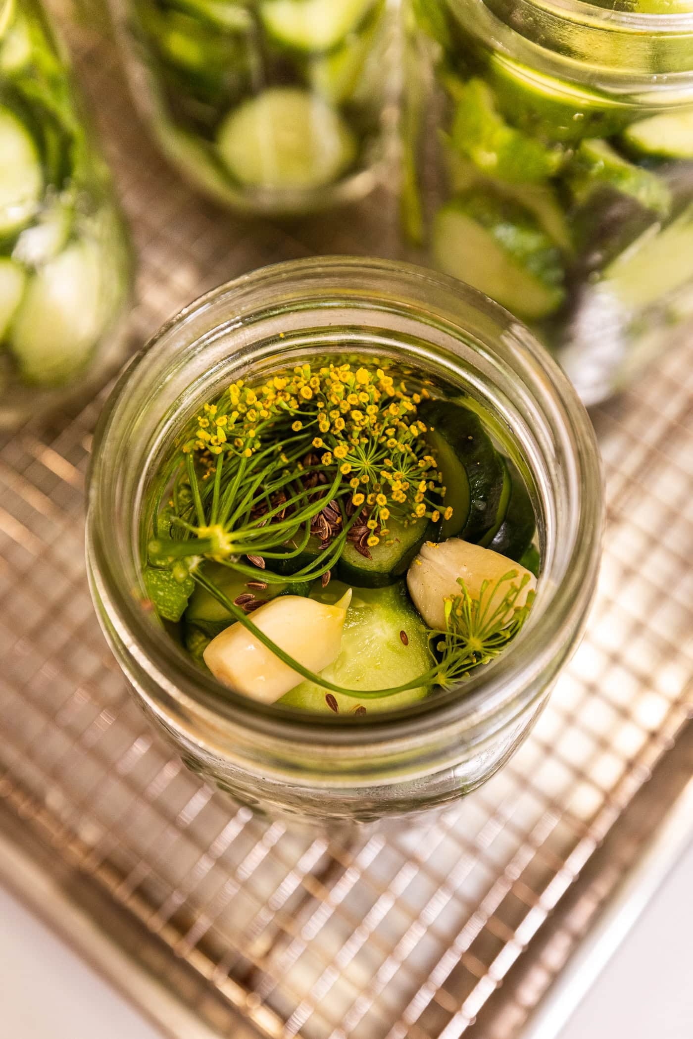Fresh dill weed and cloves of garlic on top of a jar filled with sliced cucumbers.