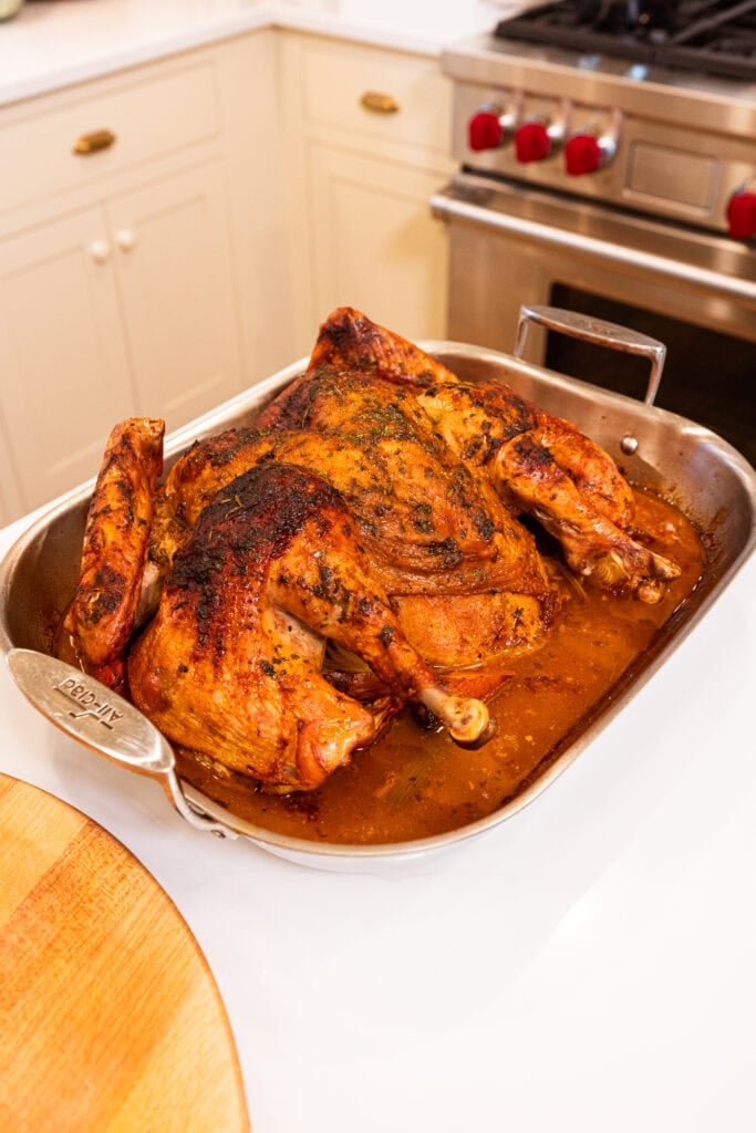 A finalized roasted Thanksgiving turkey.