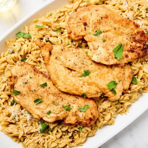 Chicken breasts sit on a bed of orzo.