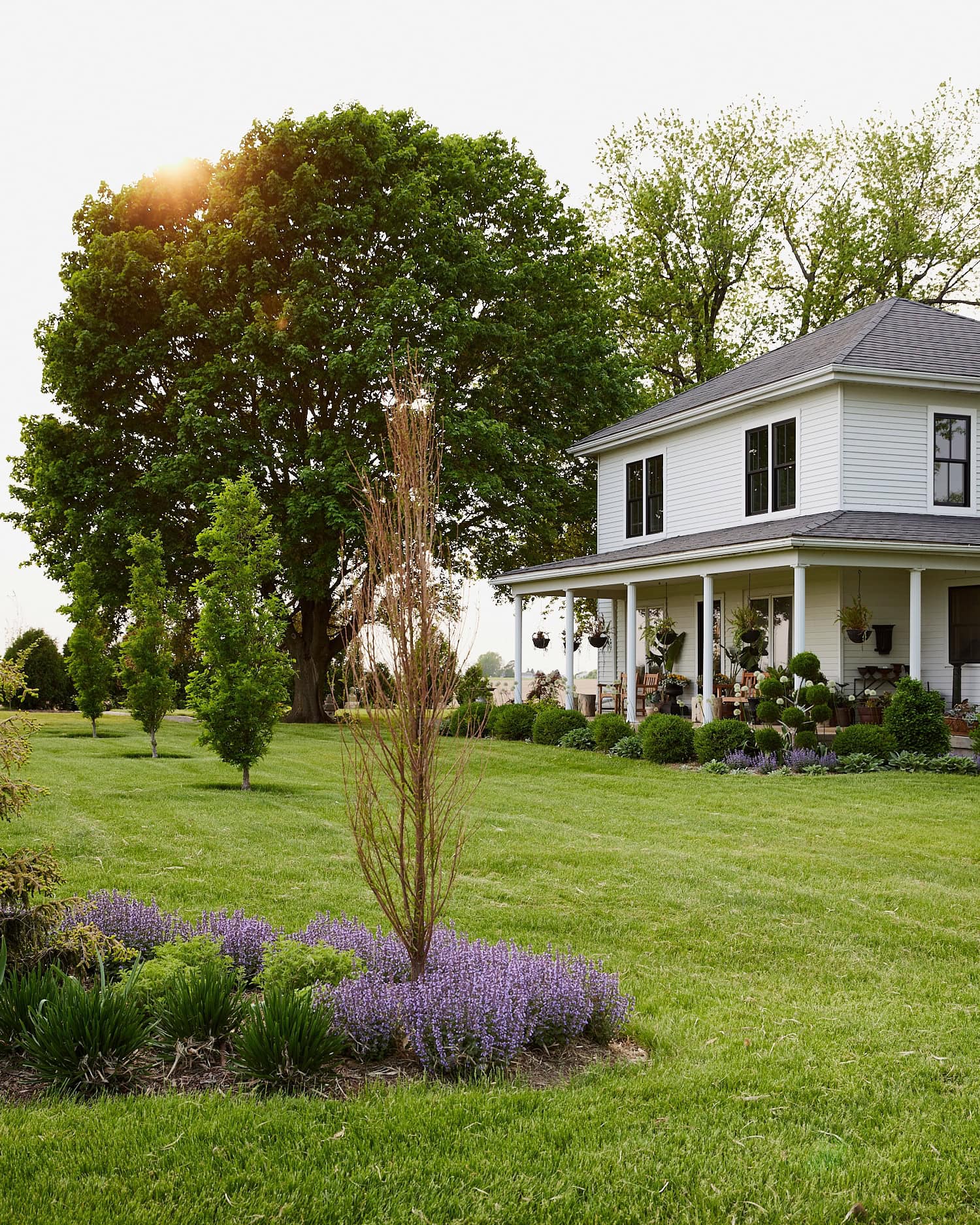 White Iowa farmhouse with green yard with sun setting in the trees.