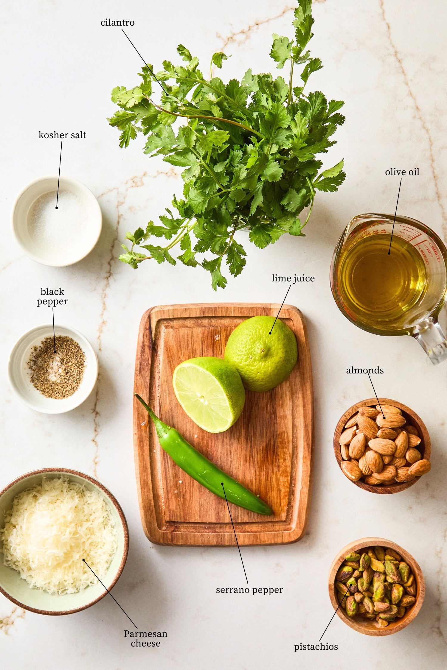 Countertop filled with ingredients needed for cilantro pesto including cilantro, Parmesan, lime juice, pistachios, and more.