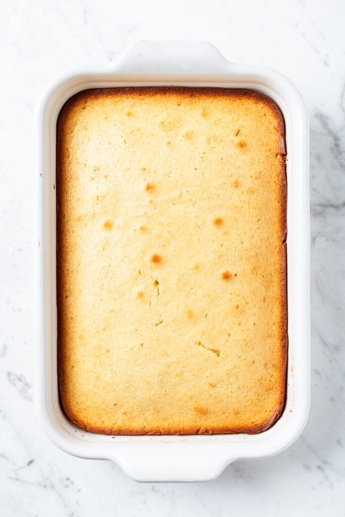 Cake in a dish after baking.