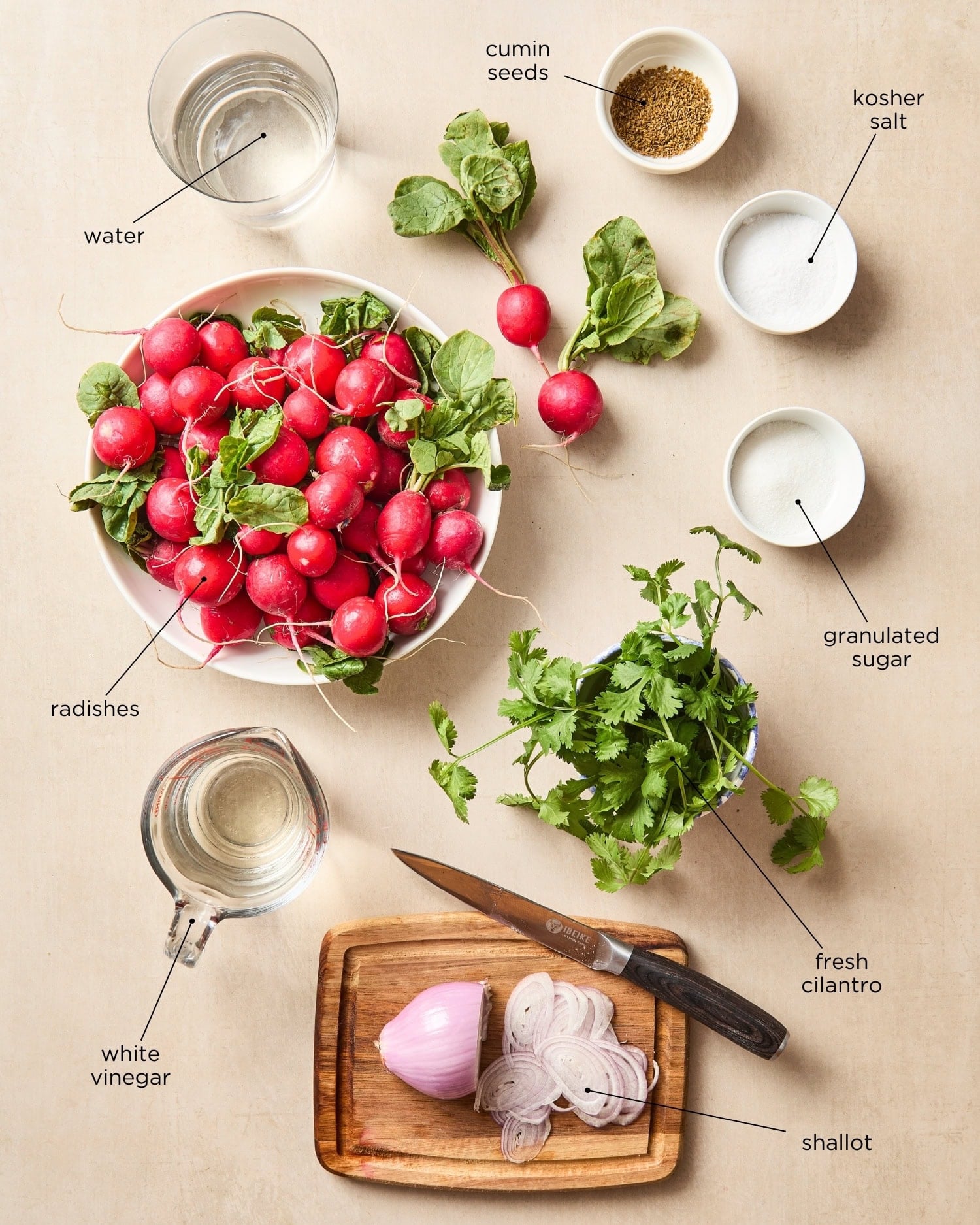 Surface with red radishes and more spices to make pickled radishes.