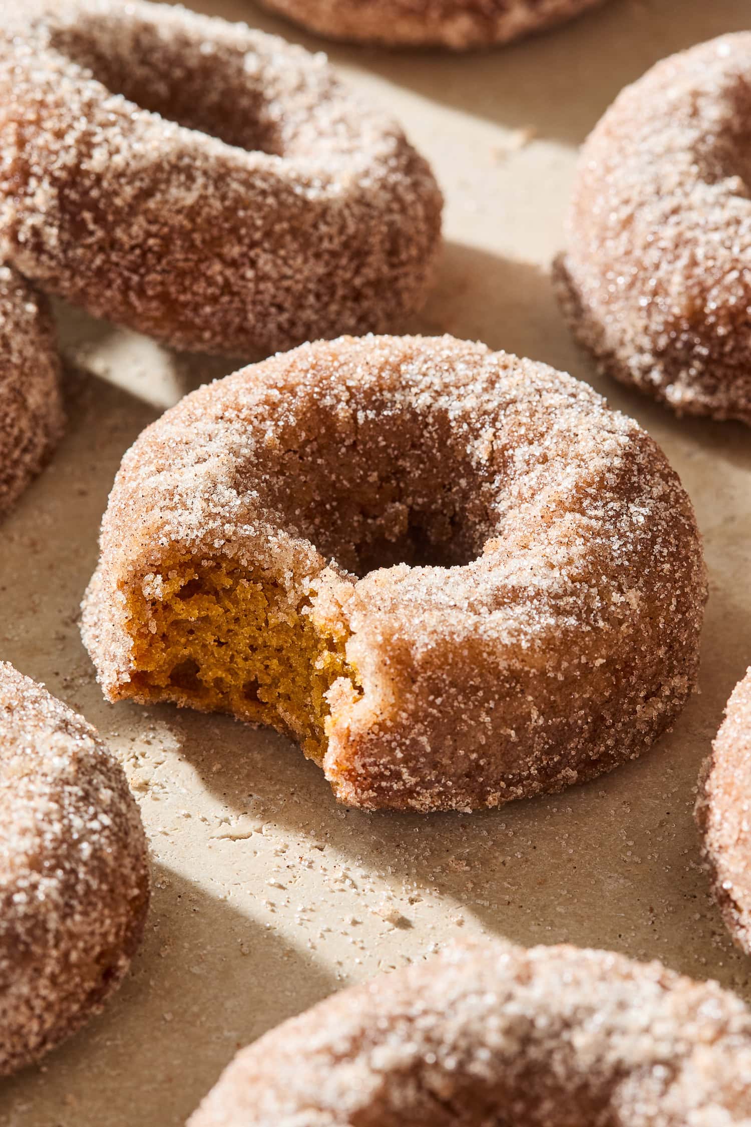Pumpkin spice donut with a bit taken out showing interior brown texture.