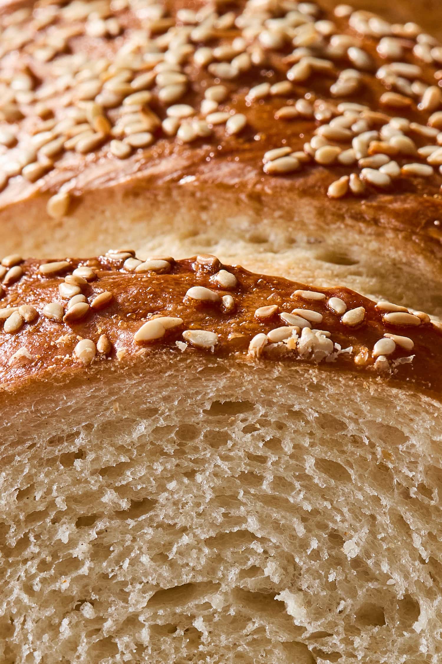 A crosscut of French bread with interior structure and sesame seeds on top.