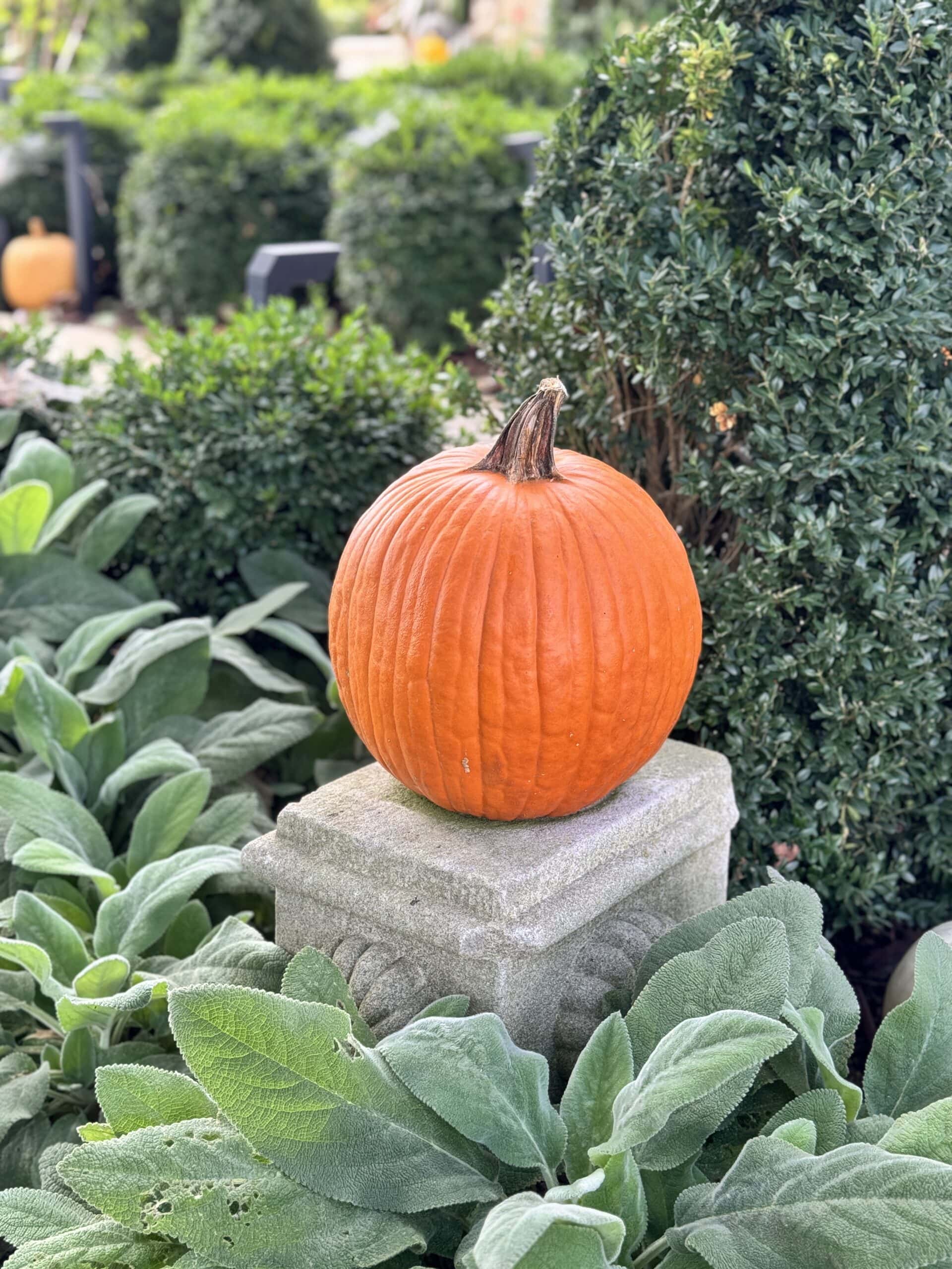 A single orange round pumpkin sitting on a decorating concrete piece.