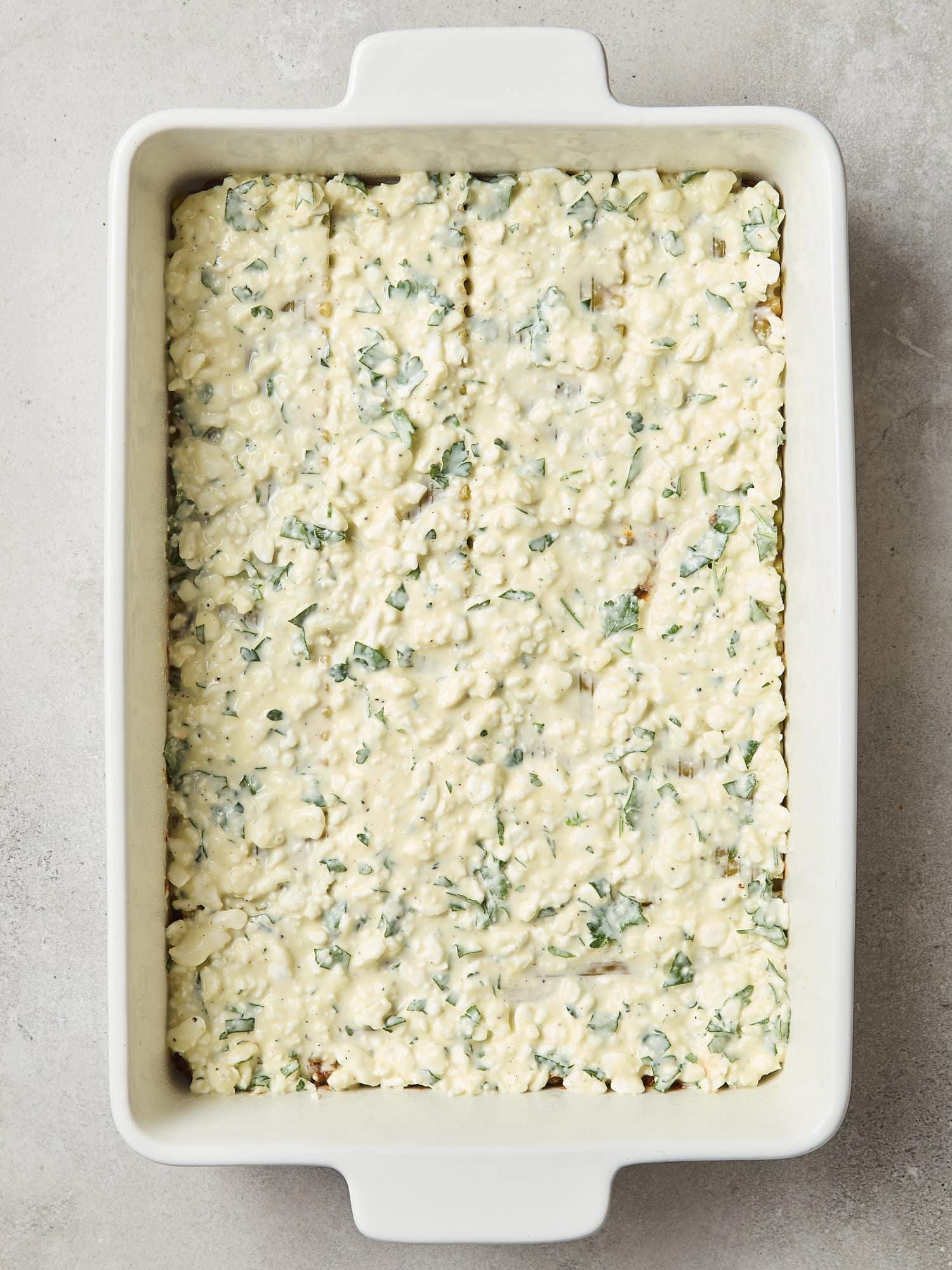 Cottage cheese mixture layered into lasagna.