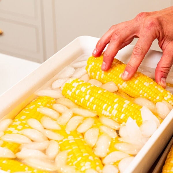 Putting corn in ice water bath to freeze sweet corn.