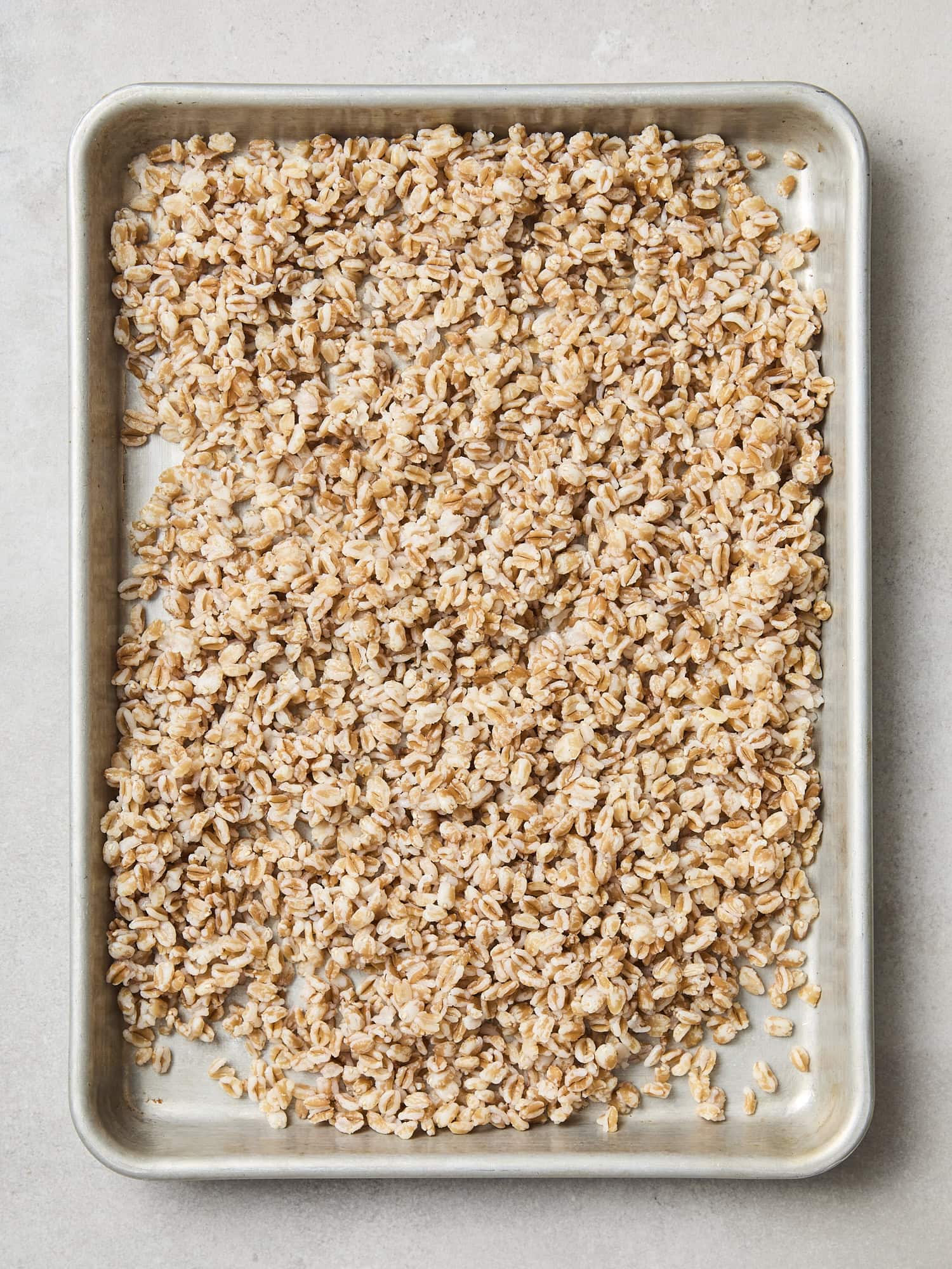 Cooked farro on a sheet pan.