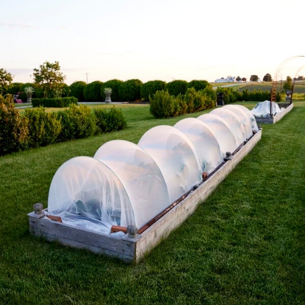 Garden bed with row cover on top.