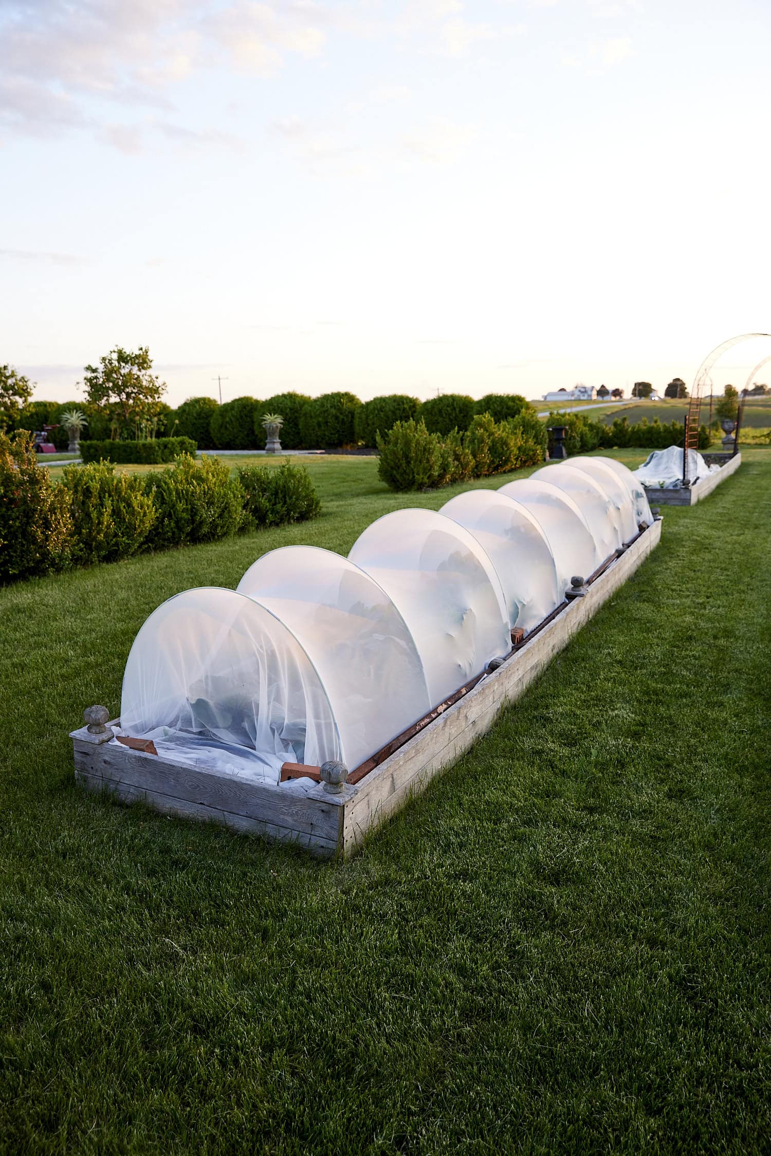 Garden bed with row cover on top.