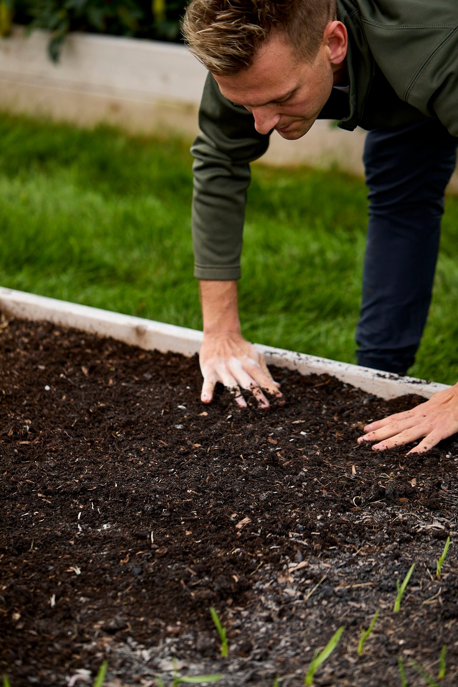 Covering up planted garlic cloves with soil.