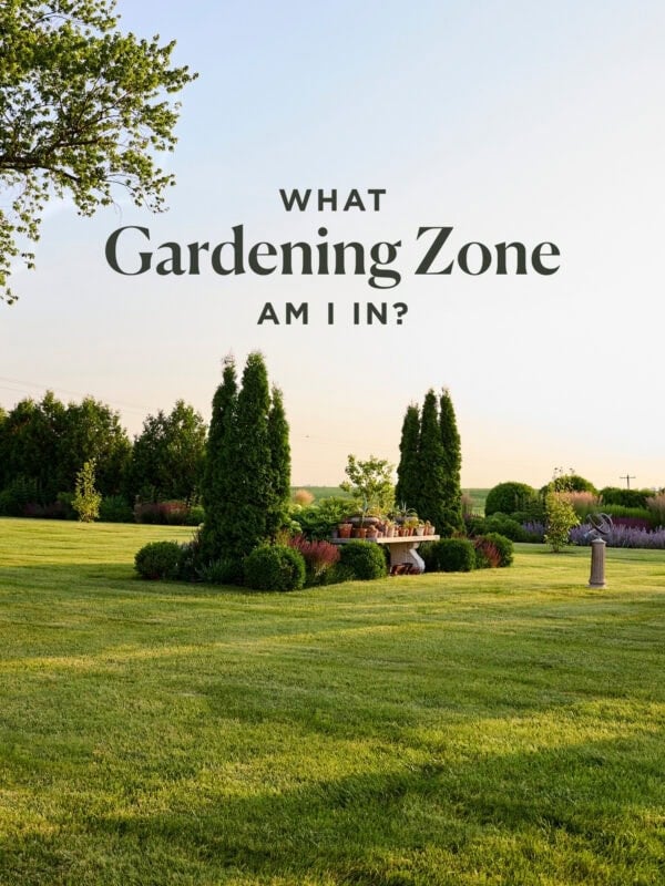 Shrubs and green grass in Zone 5b Iowa.