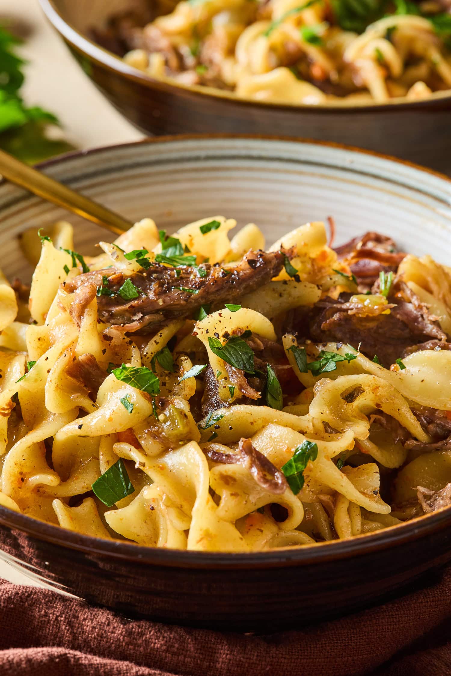 A closeup of parsley clinging to noodles for beef and noodles.